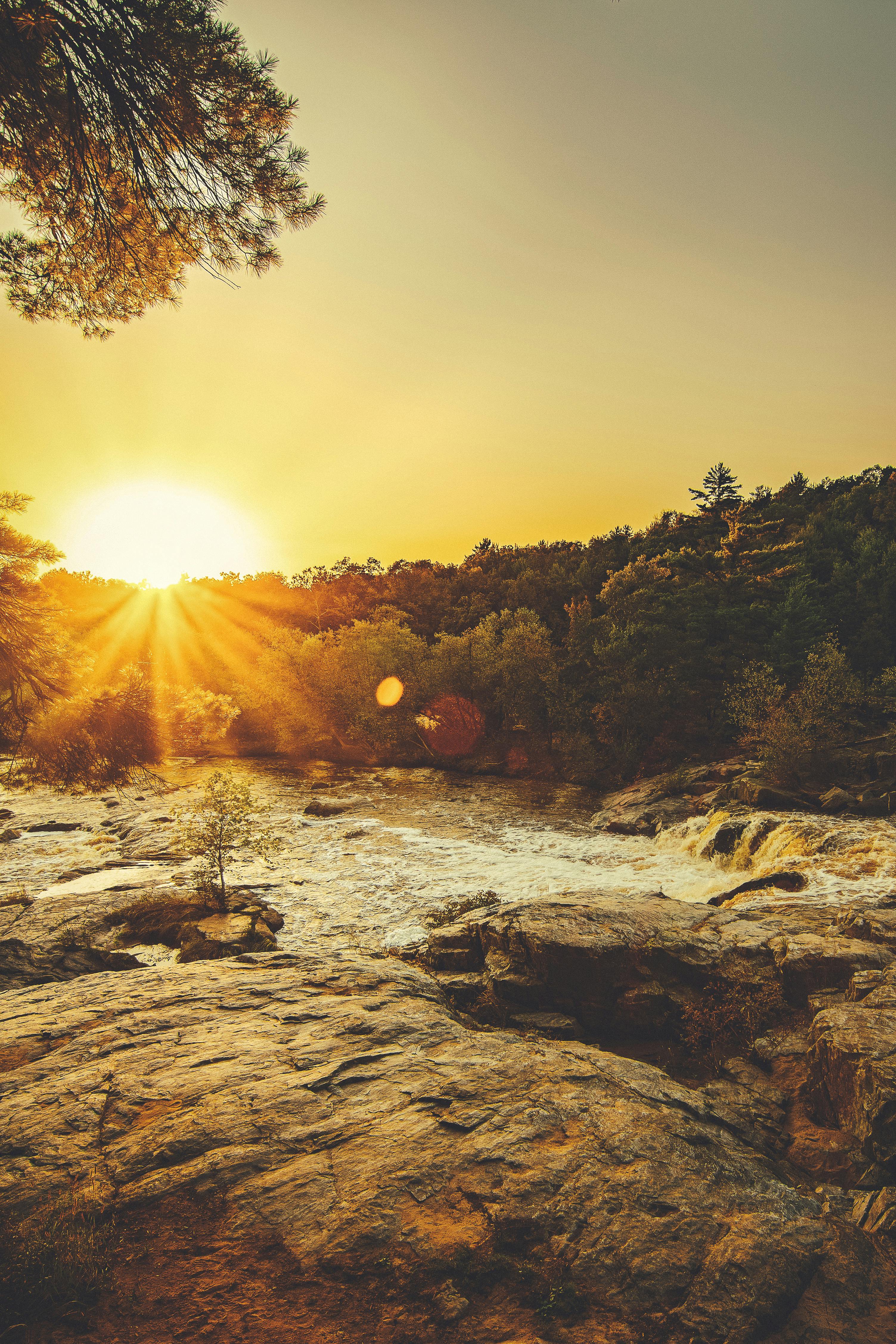 Survival-Training in der Natur